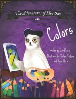 Adventures of Hoo Owl