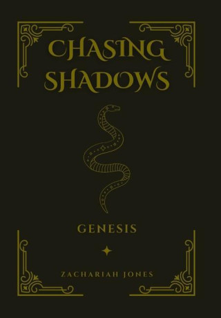 Chasing Shadows