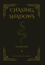 Chasing Shadows