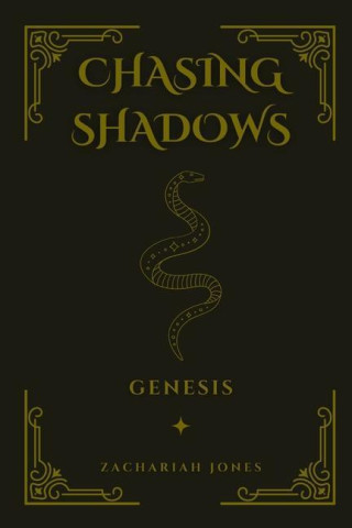 Chasing Shadows
