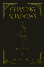 Chasing Shadows