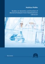 Studies on dynamics and function of Bacteriorhodopsin from Halobacterium salinarum