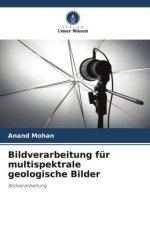 Bildverarbeitung für multispektrale geologische Bilder
