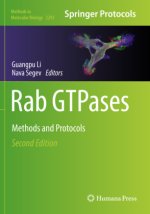 Rab GTPases