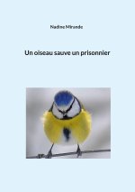 oiseau sauve un prisonnier