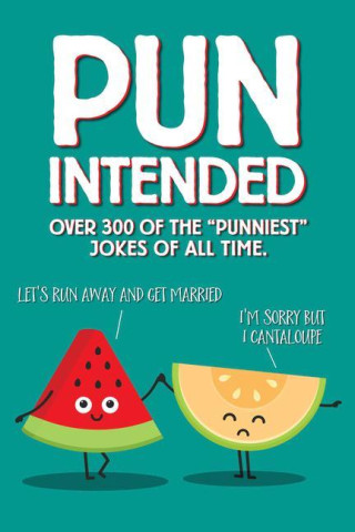Pun Intended Paperback Gift Book
