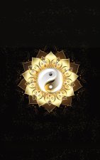 Glowing Golden Ring Yang-Yang Lotus Flower Diary, Journal, and/or Notebook