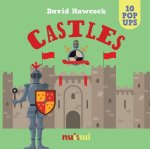 10 Pop Ups - Castles