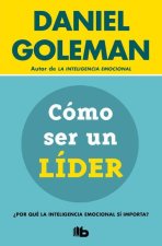 Cómo Ser Un Líder: ?Por Qué La Inteligencia Emocional Sí Importa? / What Makes a Leader