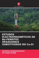 ESTUDOS ELECTROMAGNÉTICOS DE Ba-FERRITES HEXAGONAIS SUBSTITUÍDOS DO Co-Zr