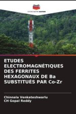 ETUDES ELECTROMAGNÉTIQUES DES FERRITES HEXAGONAUX DE Ba SUBSTITUÉS PAR Co-Zr