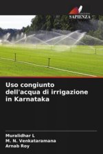 Uso congiunto dell'acqua di irrigazione in Karnataka