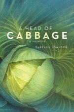 Head of Cabbage