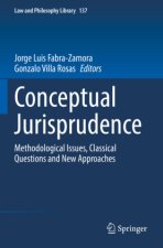 Conceptual Jurisprudence