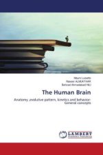 The Human Brain