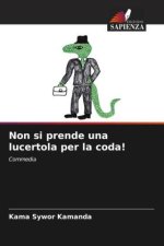 Non si prende una lucertola per la coda!