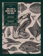 Sea-life & Monsters of the Deep