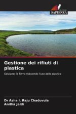 Gestione dei rifiuti di plastica