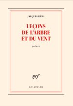 Leçons de l'arbre et du vent