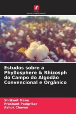 Estudos sobre a Phyllosphere & Rhizosph do Campo do Algod?o Convencional e Orgânico
