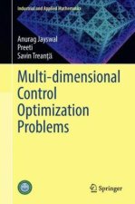 Multi-dimensional Control Problems