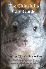 Chinchilla Care Guide