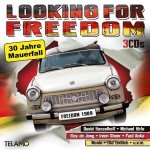 Looking For Freedom