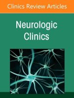 Epilepsy, an Issue of Neurologic Clinics: Volume 40-4