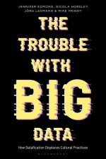 Trouble With Big Data