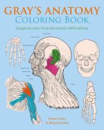 Gray's Anatomy Coloring Book: Images to Color from the Classic 1860 Edition