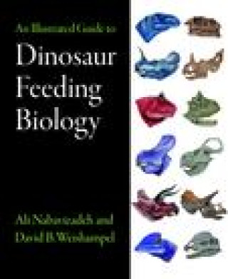 Illustrated Guide to Dinosaur Feeding Biology