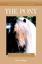 Understanding the Pony