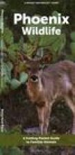 Phoenix Wildlife: A Folding Pocket Guide to Familiar Animals