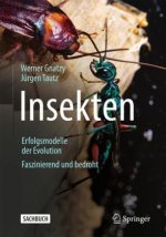 Insekten - Erfolgsmodelle der Evolution