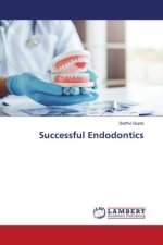 Successful Endodontics