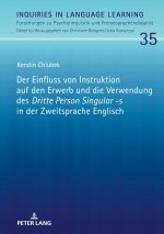 Einfluss Von Instruktion Auf Den Erwerb Und Die Verwendung Des 