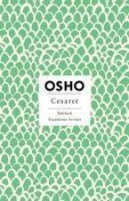 Cesaret - Tehlikeli Yasamanin Coskusu