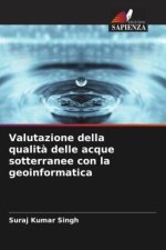 Valutazione della qualit? delle acque sotterranee con la geoinformatica