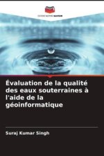Évaluation de la qualité des eaux souterraines ? l'aide de la géoinformatique