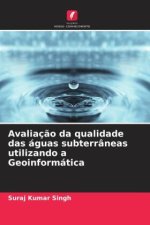 Avaliaç?o da qualidade das águas subterrâneas utilizando a Geoinformática