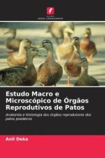 Estudo Macro e Microscópico de Órg?os Reprodutivos de Patos