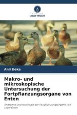 Makro- und mikroskopische Untersuchung der Fortpflanzungsorgane von Enten