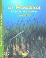 La posid?nia, el bosc submeregit