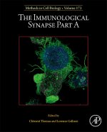Immunological Synapse Part A