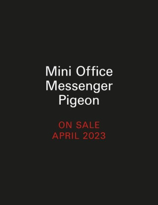 Mini Office Messenger Pigeon