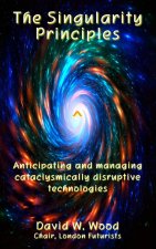 Singularity Principles