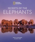 Secrets of the Elephants