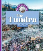 Let's Explore the Tundra