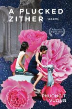 Plucked Zither