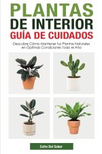 Plantas de Interior - Guia de Cuidados